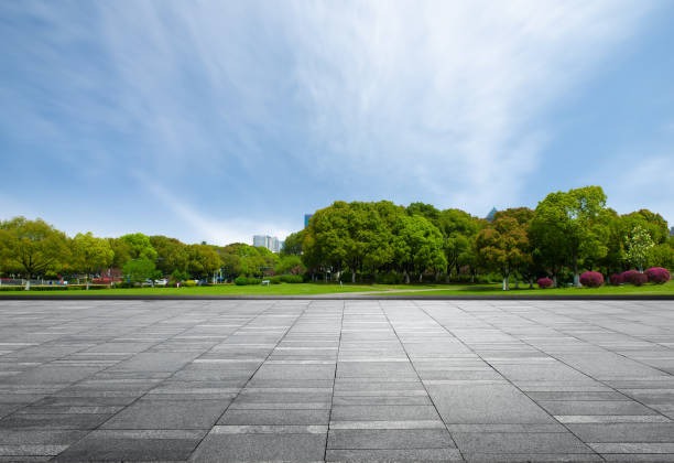 From Playgrounds to Playdates Why Parents Trust ForeverLawn’s Safety-First Grass Systems