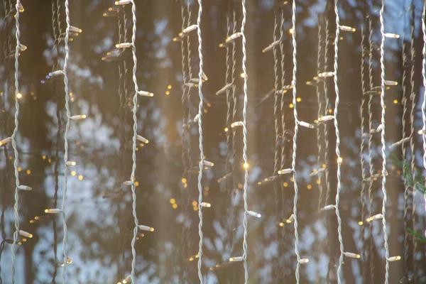 The Dazzling Difference Premium Festive Lighting Solutions for Any Event