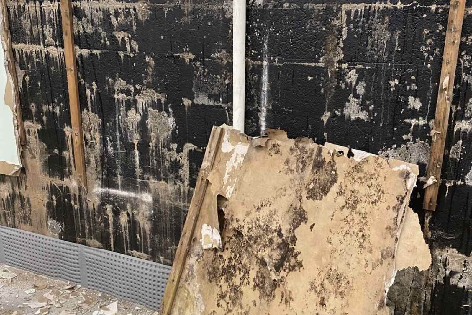 Long-Term Benefits of Professional Mold Remediation for Indoor Air Quality