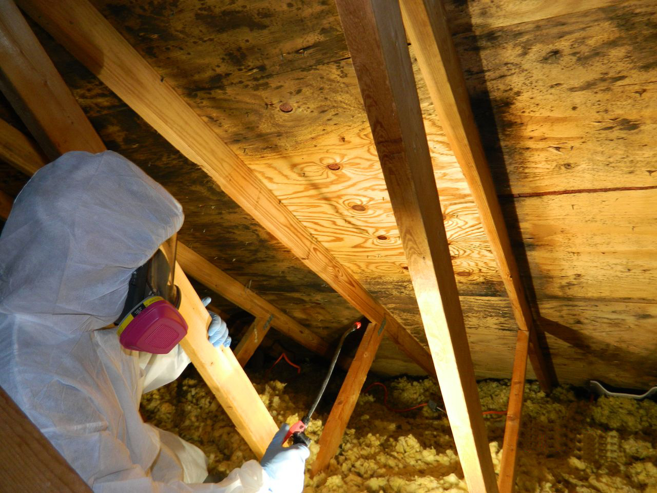 Long-Term Benefits of Professional Mold Remediation for Indoor Air Quality