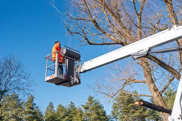 Trusted Tree Cutting Service with Modern Equipment