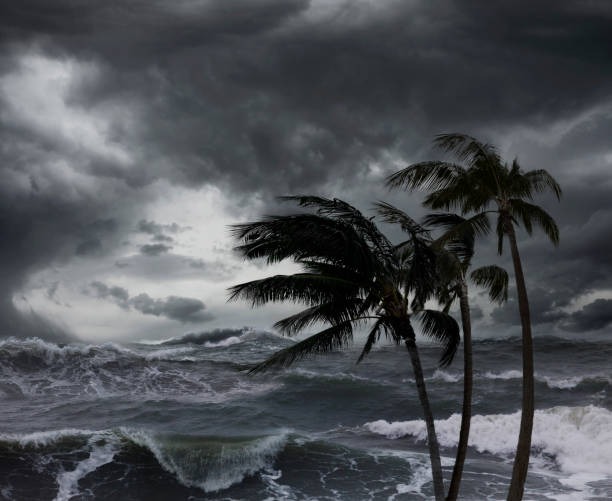 Essential Surf Resources to Master the Ocean