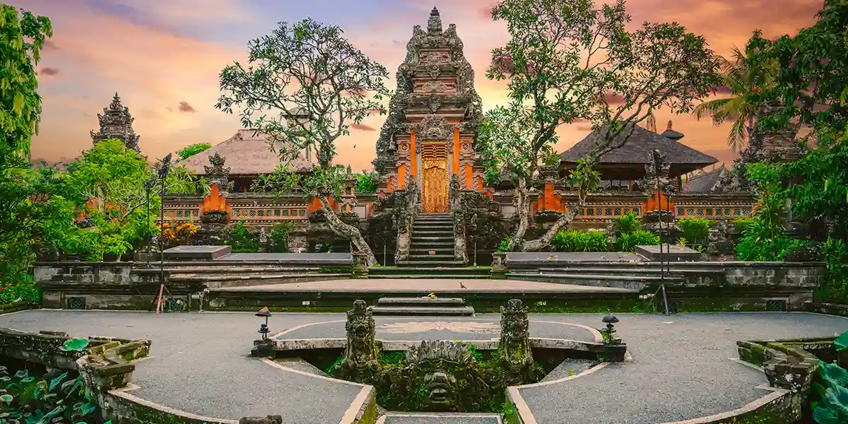 Sumatra Uncharted: Coffee Farms and Rainforest Retreats