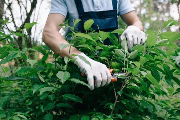Find Tree Removal Companies Near Me for Quick Storm Damage Cleanup