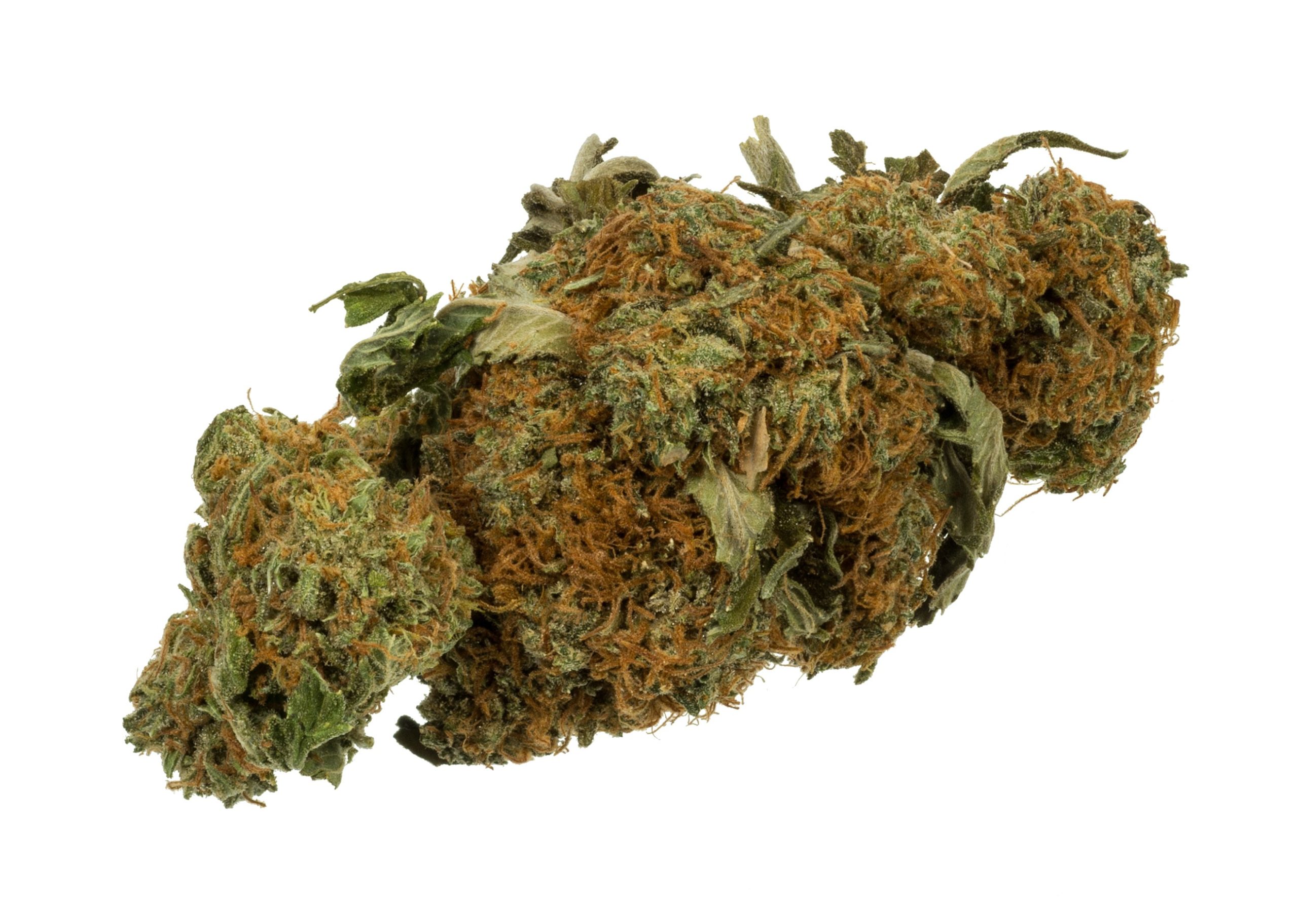 Discover the World of Weed With Expert Tips, Strain Guides, and Consumer Insights