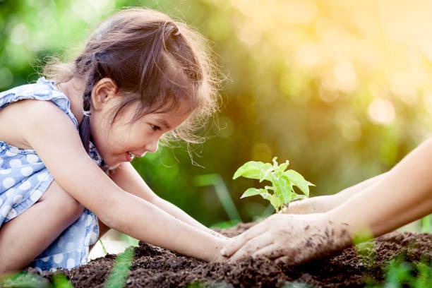 Cultivating Your Mind: How to Grow a Light Garden