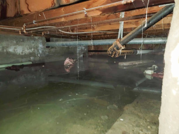 Comprehensive Indianapolis Crawl Space Services for Your Property