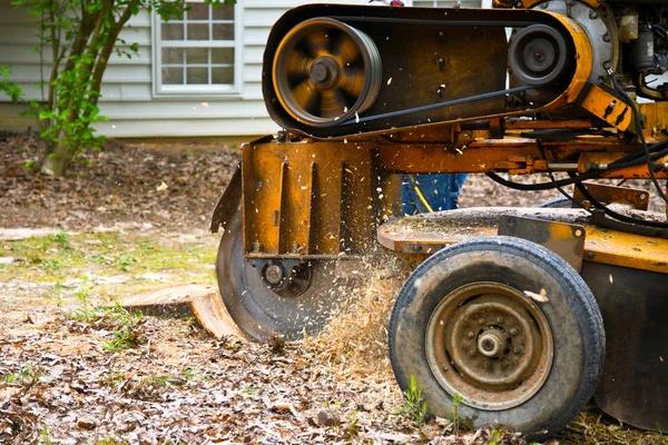 Quality Tree Service Near Me for Routine and Emergency Tree Care