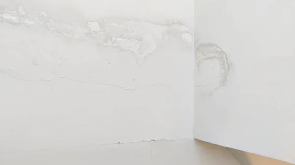 Expert Water Damage Repair and Restoration Services