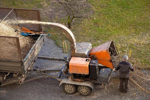 Eco-Friendly Tree Removal Service for Responsible Property Care